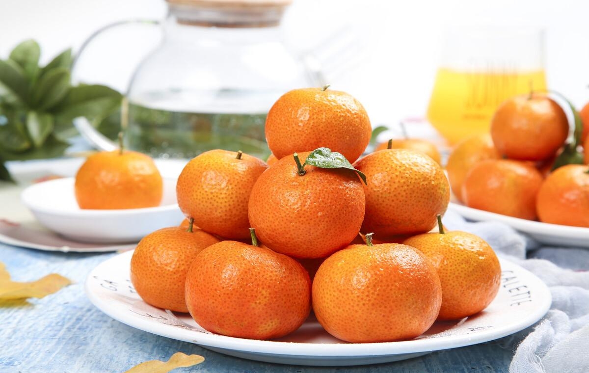 砂糖橘产自于哪里最好吃 这三个产地受人欢迎